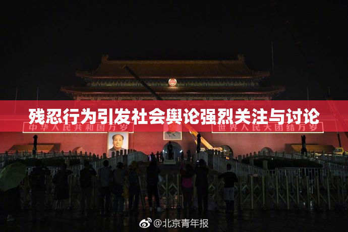 残忍行为引发社会舆论强烈关注与讨论