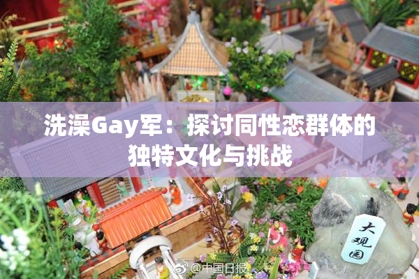 洗澡Gay军：探讨同性恋群体的独特文化与挑战