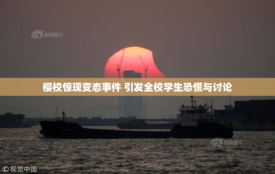 樱校惊现变态事件 引发全校学生恐慌与讨论