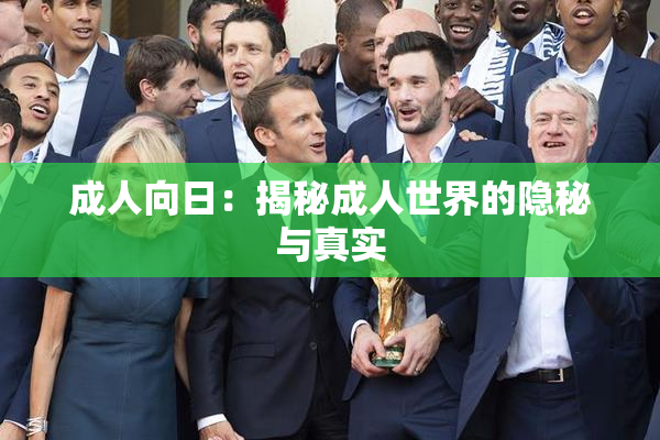 成人向日：揭秘成人世界的隐秘与真实