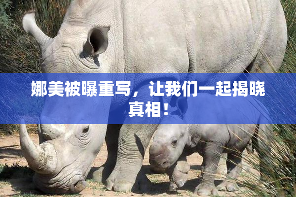 娜美被曝重写，让我们一起揭晓真相！