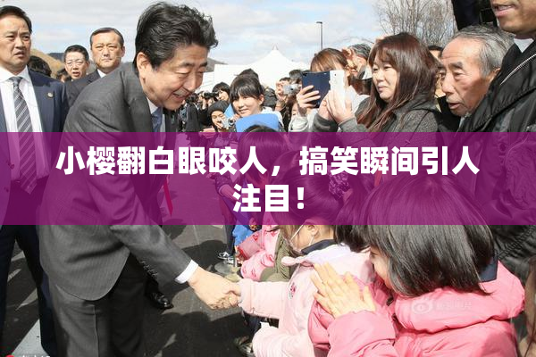 小樱翻白眼咬人，搞笑瞬间引人注目！