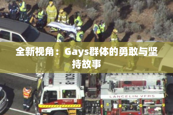 全新视角：Gays群体的勇敢与坚持故事