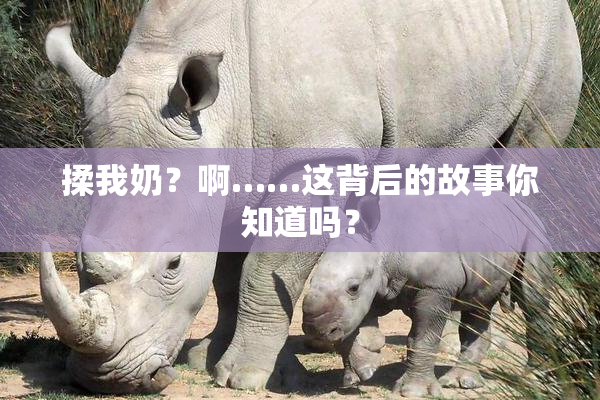 揉我奶？啊……这背后的故事你知道吗？