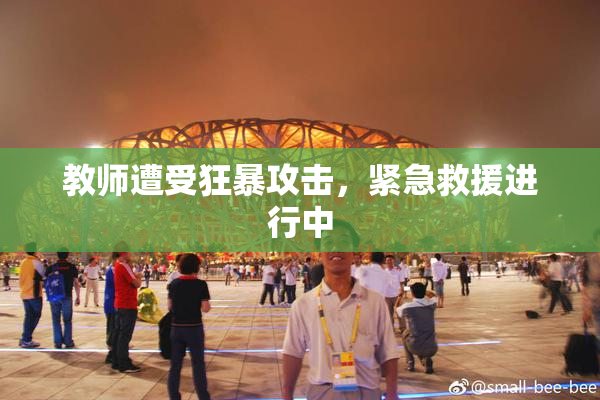 教师遭受狂暴攻击，紧急救援进行中