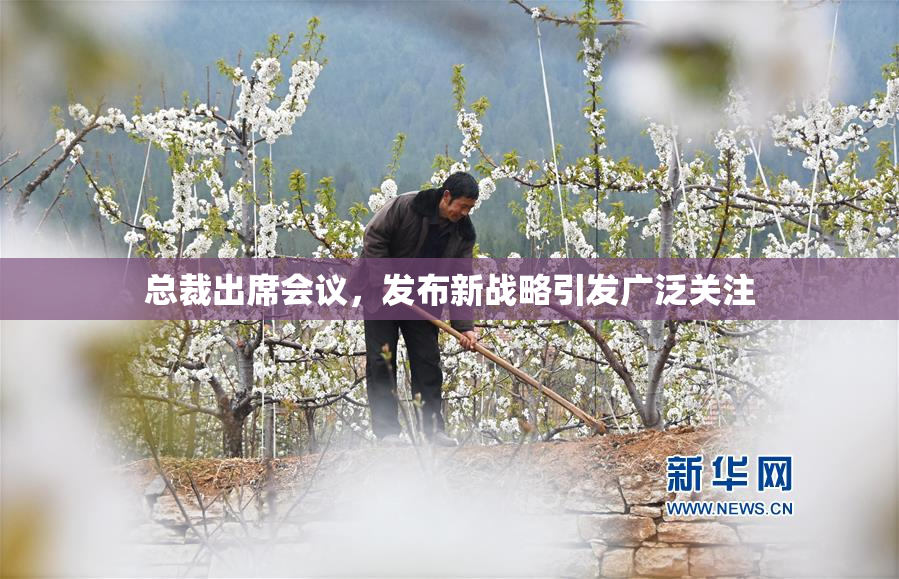 总裁出席会议，发布新战略引发广泛关注
