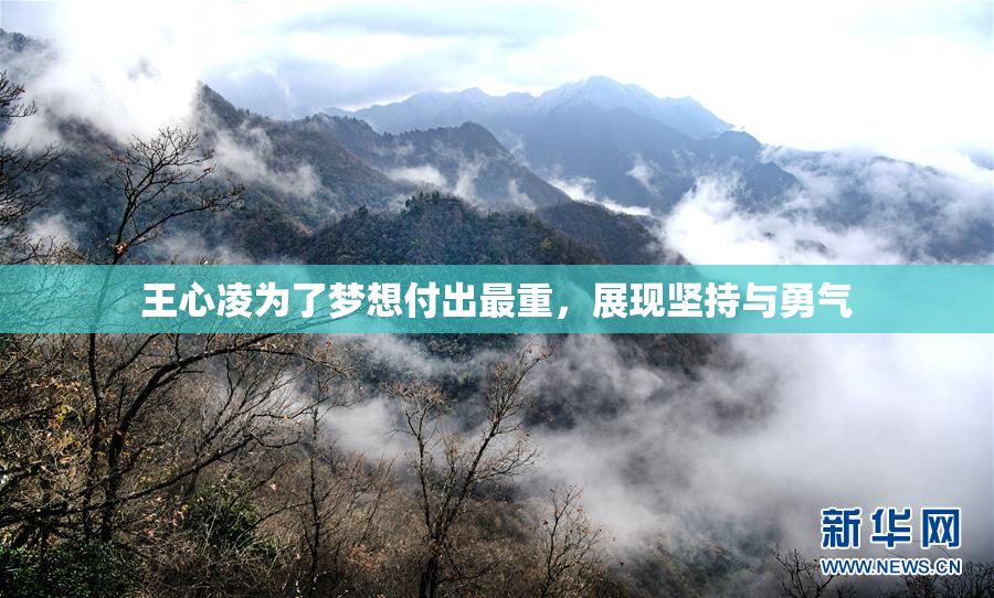 王心凌为了梦想付出最重，展现坚持与勇气