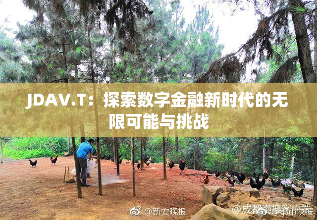 JDAV.T：探索数字金融新时代的无限可能与挑战