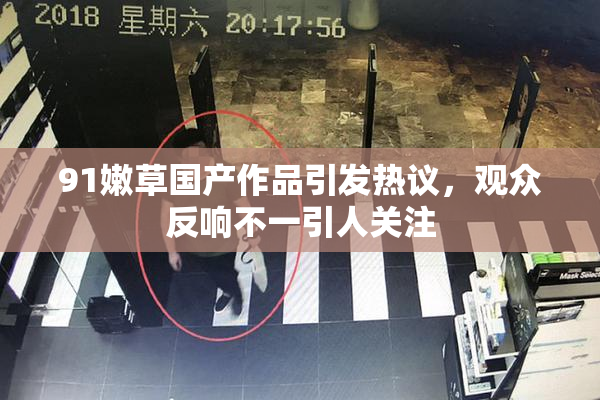 91嫩草国产作品引发热议，观众反响不一引人关注