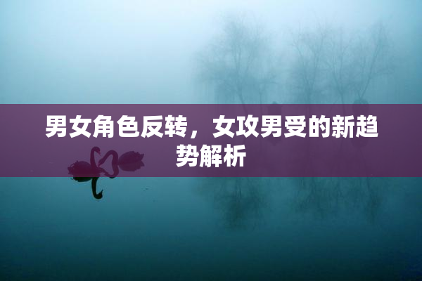 男女角色反转，女攻男受的新趋势解析