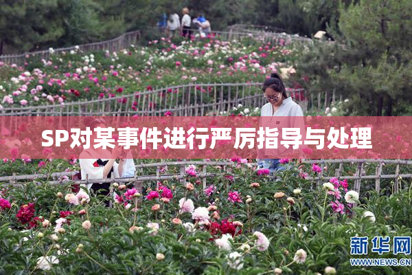 SP对某事件进行严厉指导与处理