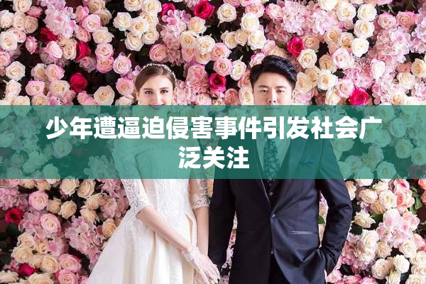 少年遭逼迫侵害事件引发社会广泛关注