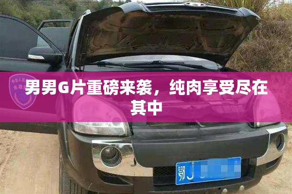 男男G片重磅来袭，纯肉享受尽在其中