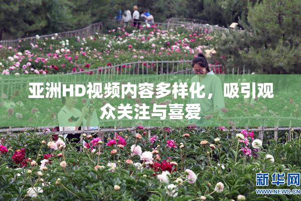 亚洲HD视频内容多样化，吸引观众关注与喜爱