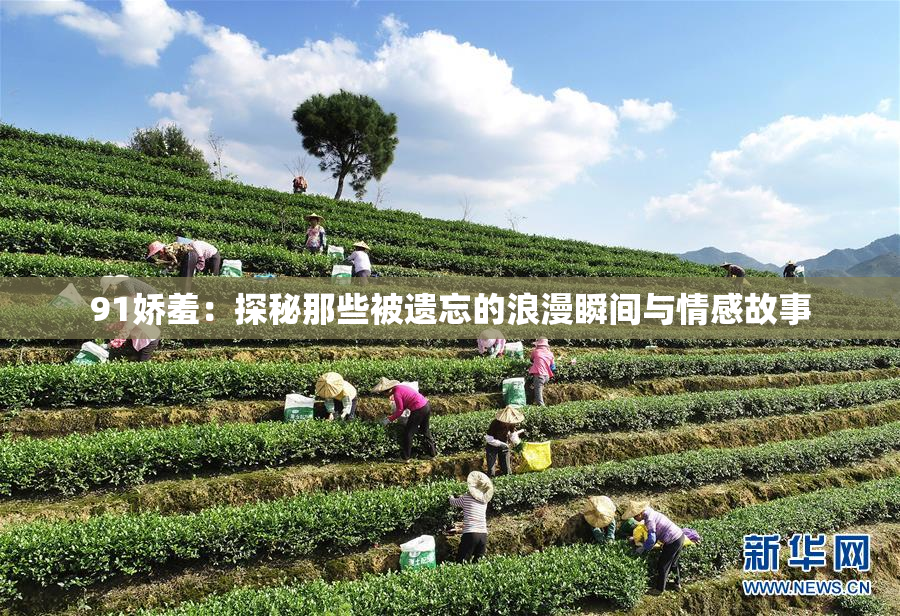 91娇羞：探秘那些被遗忘的浪漫瞬间与情感故事