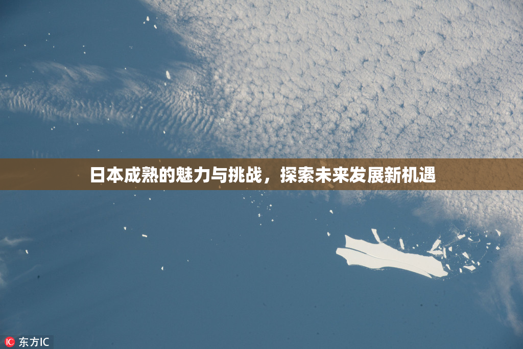日本成熟的魅力与挑战，探索未来发展新机遇