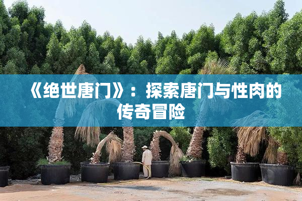 《绝世唐门》：探索唐门与性肉的传奇冒险