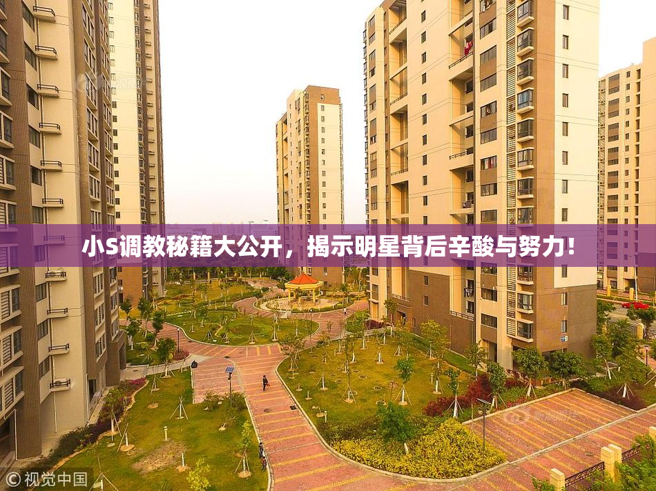 小S调教秘籍大公开，揭示明星背后辛酸与努力！