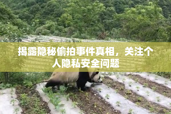 揭露隐秘偷拍事件真相，关注个人隐私安全问题