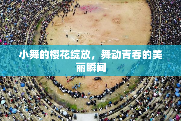 小舞的樱花绽放，舞动青春的美丽瞬间
