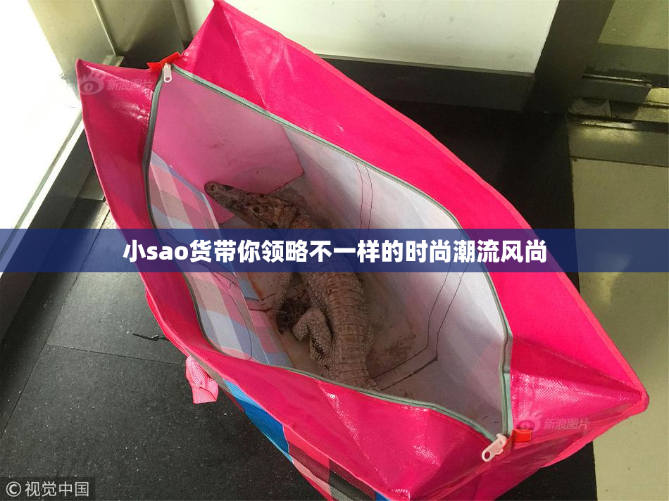 小sao货带你领略不一样的时尚潮流风尚