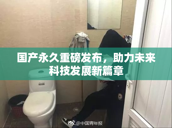 国产永久重磅发布，助力未来科技发展新篇章