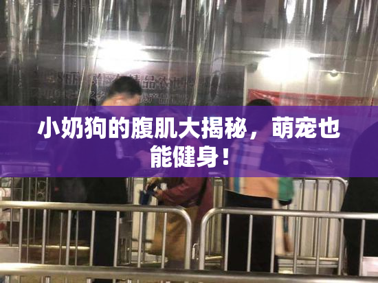 小奶狗的腹肌大揭秘，萌宠也能健身！
