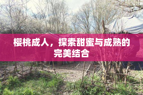 樱桃成人，探索甜蜜与成熟的完美结合