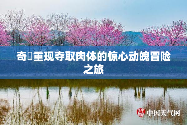 奇犽重现夺取肉体的惊心动魄冒险之旅
