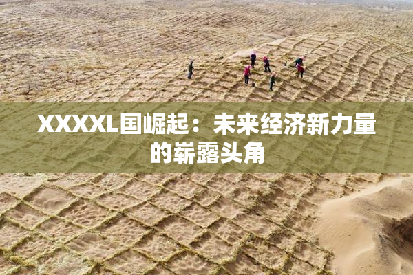 XXXXL国崛起：未来经济新力量的崭露头角