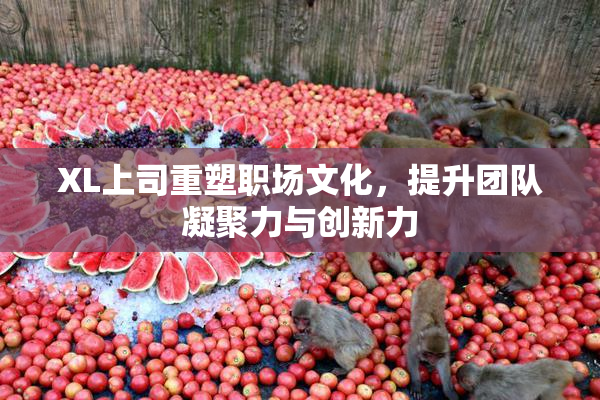 XL上司重塑职场文化，提升团队凝聚力与创新力