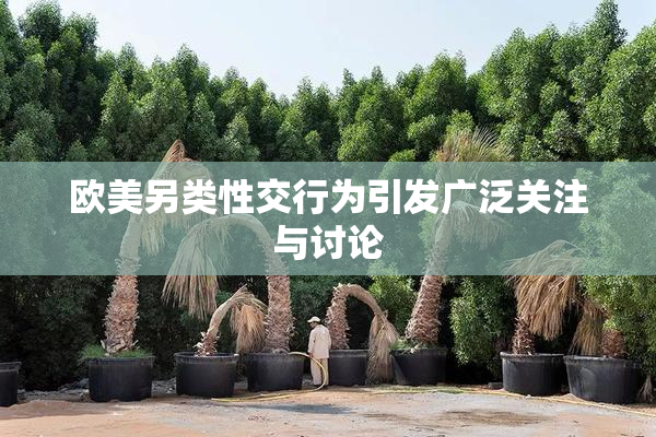 欧美另类性交行为引发广泛关注与讨论