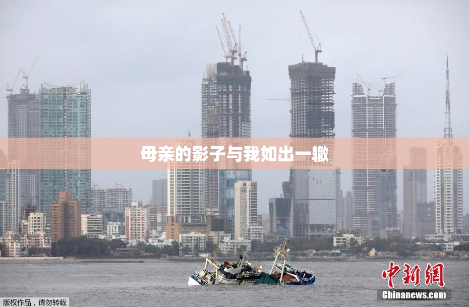 母亲的影子与我如出一辙