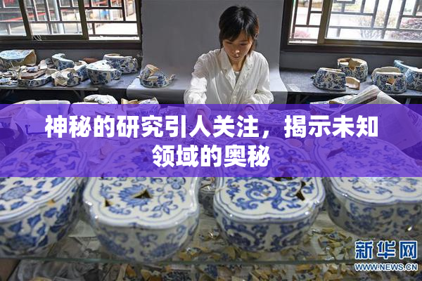 神秘的研究引人关注，揭示未知领域的奥秘