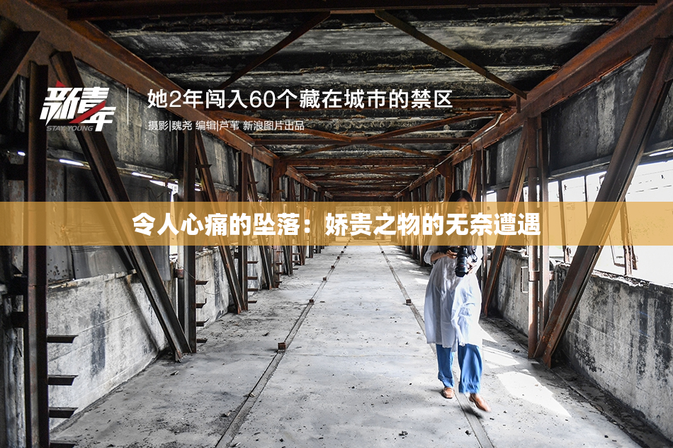 令人心痛的坠落：娇贵之物的无奈遭遇