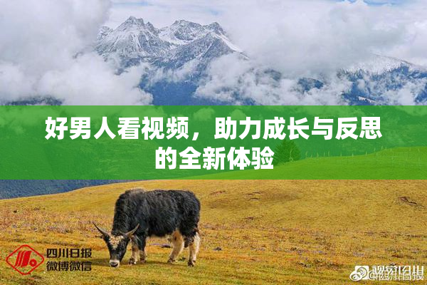 好男人看视频，助力成长与反思的全新体验