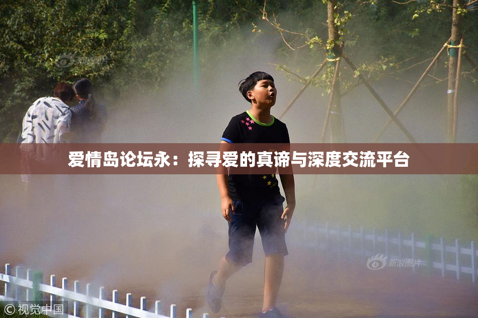 爱情岛论坛永：探寻爱的真谛与深度交流平台