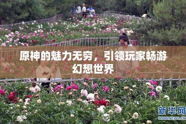 原神的魅力无穷，引领玩家畅游幻想世界