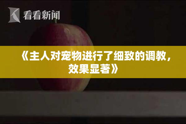 《主人对宠物进行了细致的调教，效果显著》