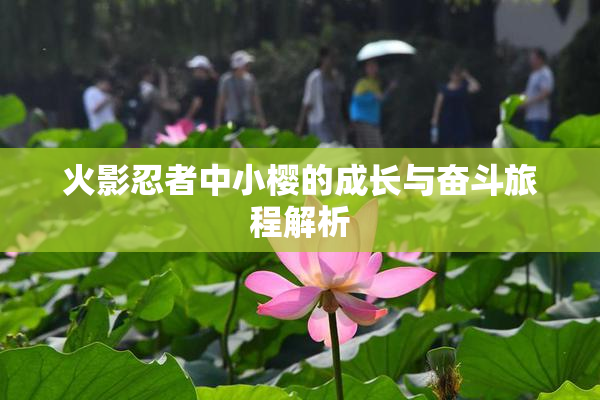 火影忍者中小樱的成长与奋斗旅程解析