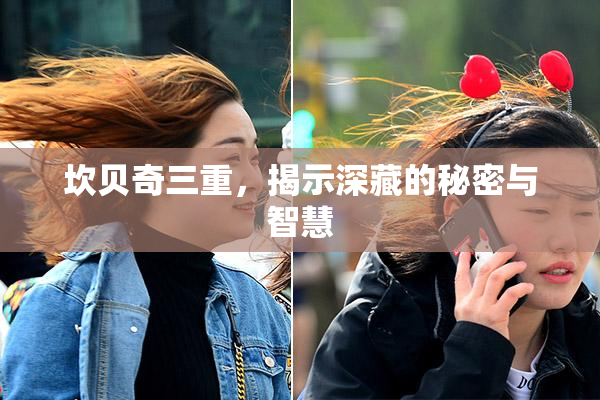 坎贝奇三重，揭示深藏的秘密与智慧