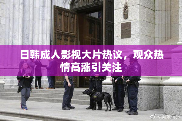 日韩成人影视大片热议，观众热情高涨引关注