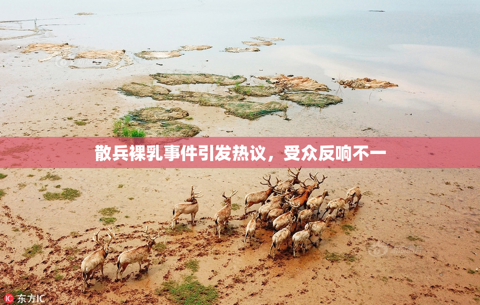 散兵裸乳事件引发热议，受众反响不一