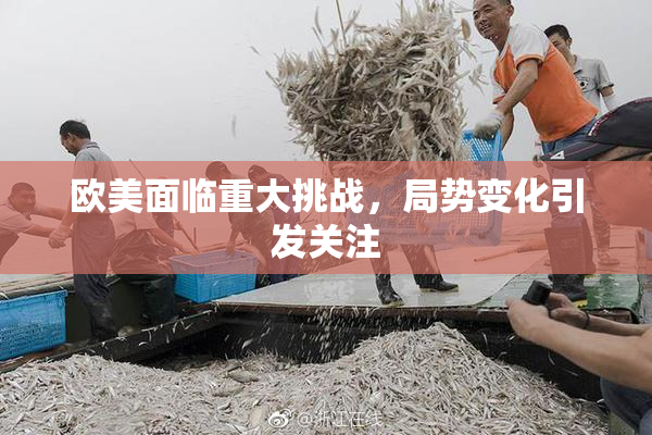 欧美面临重大挑战，局势变化引发关注