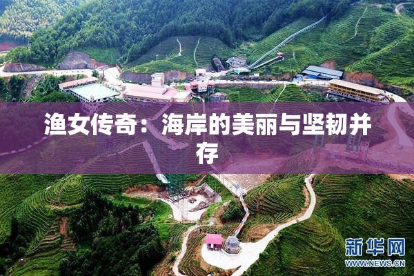 渔女传奇：海岸的美丽与坚韧并存