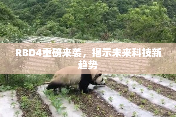 RBD4重磅来袭，揭示未来科技新趋势