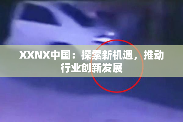 XXNX中国：探索新机遇，推动行业创新发展