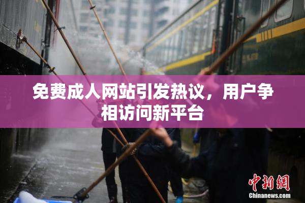 免费成人网站引发热议，用户争相访问新平台