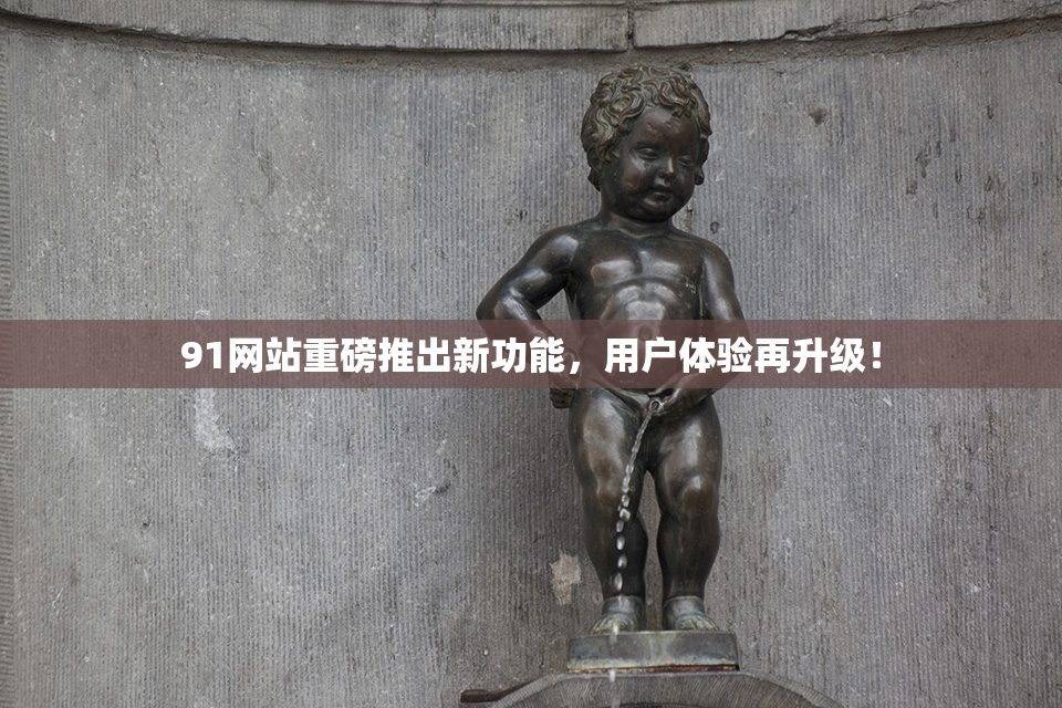 91网站重磅推出新功能，用户体验再升级！