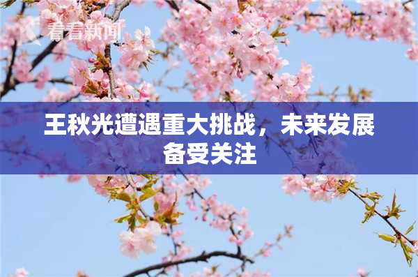 王秋光遭遇重大挑战，未来发展备受关注